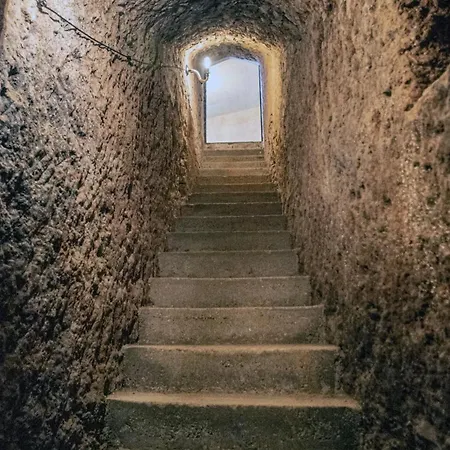 Entre Vinedos Casa de Férias *