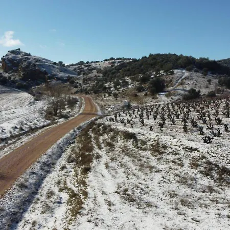 Entre Vinedos Casa de Férias *