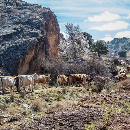 Nyaraló Entre Vinedos
