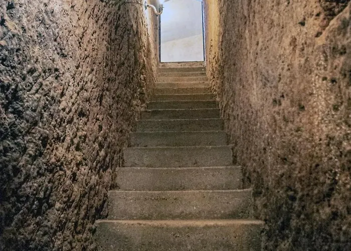 Entre Vinedos 別荘 *