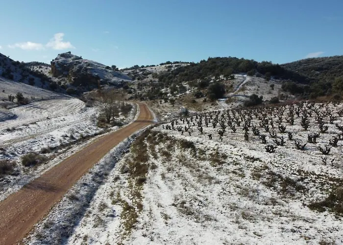 Entre Vinedos 別荘 *